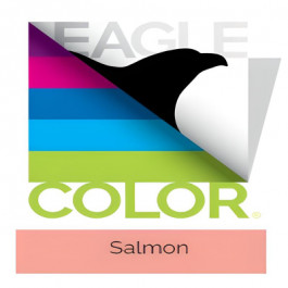 8.5X11 10M 20# (75 GSM) Salmon Eagle Premium 30% PCW Recycled Multipurpose