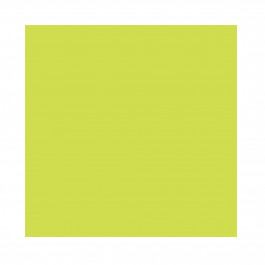 8.5X11 9.87M 20/50# (75 GSM) Bright Green Exact Brights Multipurpose Letter