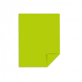 11X17 23.62M 24/60# (90 GSM) Terra Green Astrobrights Text Ledger Size Copy