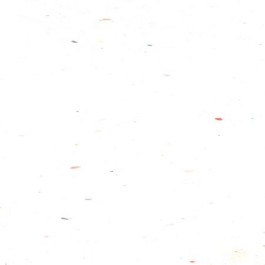 8.5X11 23.38M 65# (176 GSM) Stardust White Astrobrights Heavy Weight Cover